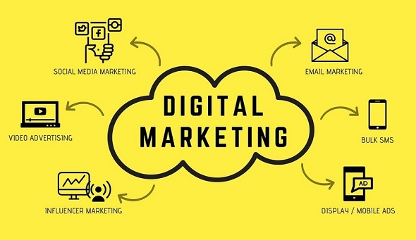 Digital Marketing Expert In Himachal Pradesh